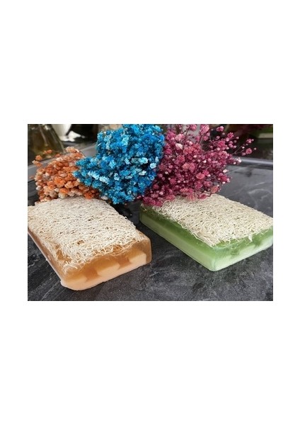 Doğal Kabak Lifli Eşek Sütü Bal&aloe Vera Sabunu 2’li Set