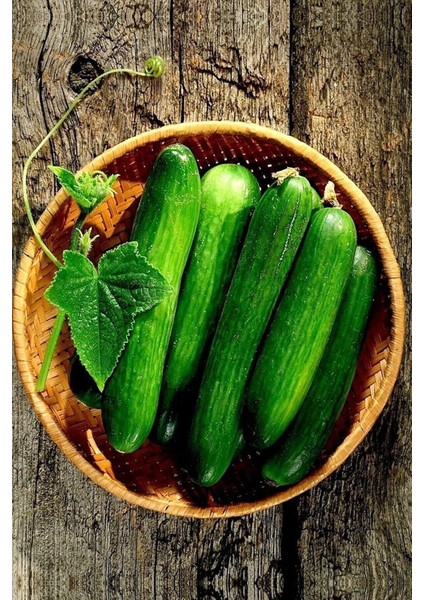 Yediveren Salatalık ( Hıyar ) Tohumu 25 gr