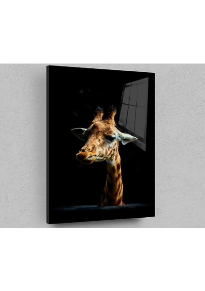 Zürafa Siyah Arka Cam Tablo, Doğa Tablo, Zürafa Tablo, Duvar Dekor, Büyük Tablo, Cam Duvar Tablo