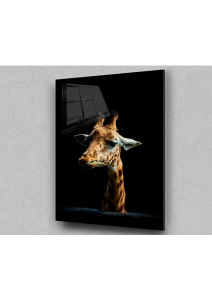 Zürafa Siyah Arka Cam Tablo, Doğa Tablo, Zürafa Tablo, Duvar Dekor, Büyük Tablo, Cam Duvar Tablo fiyatları