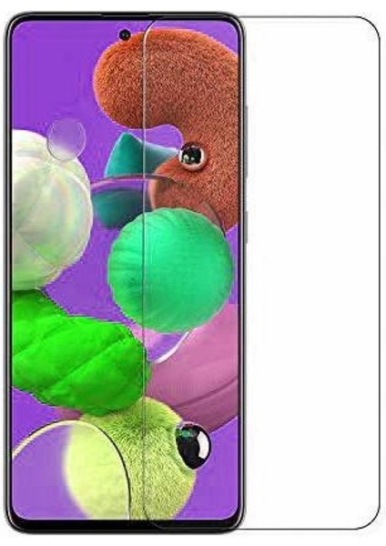 Samsung Galaxy M51 Ekran Koruyucu 2 Adet Temperli Kırılmaz Cam
