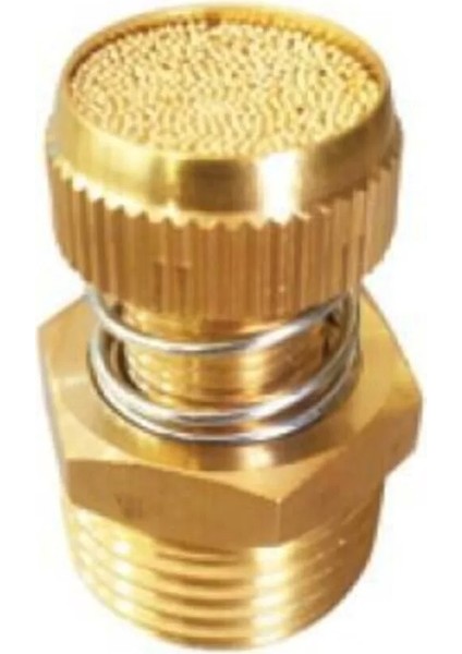 1" Sinter Bronz Susturucu Ayarlı ( Kısmalı ) Tip