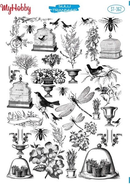 St 362 Yusufcuk, Arı, Çiçek Desenli Sulu Transfer 25X35