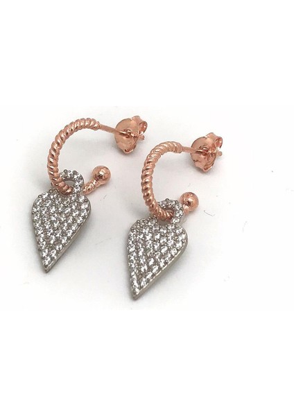 Gümüş Taşlı Bayan Küpe DLP79E9E6