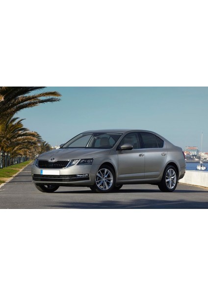 Skoda Octavia 3 2013-2020 Sağ Ön Dış Kapı Kolu Kapağı Bademi 5G0839168