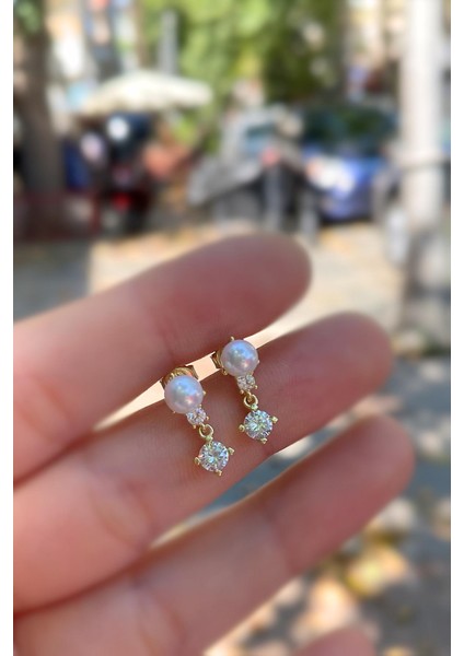 Gümüş Incili Bayan Küpe DP4762G6