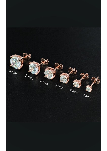 Gümüş Rose Tek Taş Bayan Küpe fiyatları