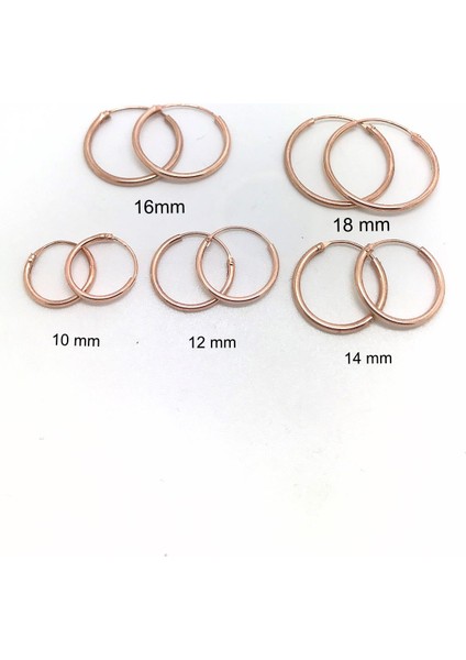 Gümüş Ince Rose Taşsız Halka Küpe fiyatları