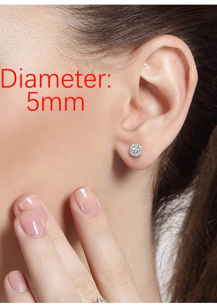 Gümüş Pimli Tek Taş Bayan Küpe LR01F fiyatları