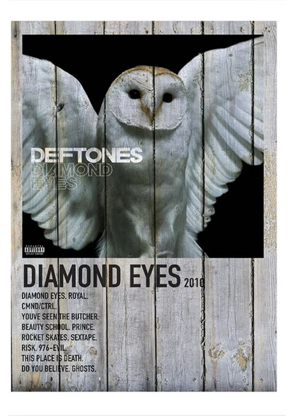 Diamond Eyes Deftones Modern Ahşap Tablo