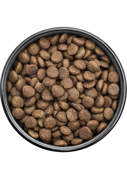 Somonlu Köpek Maması