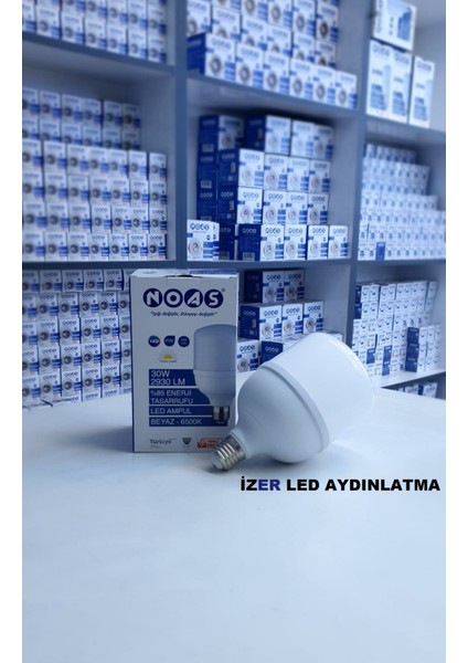 30W Torch Ampul Günışığı