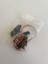 MG90S Rc Servo Motor 3