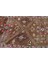 Türk Halısı, Eskitme Halı, Halı, 168 x 341 cm Kahverengi Halı, Organik Büyük Halı, 11954 5