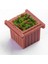 Mini Park Peyzaj Manzarası Bonsai 1:50 Ölçekli Yeşil Bitki Dekoratifleri Dekor (Yurt Dışından) 2