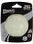 Chuckit!. Max Glow Ball, Büyük, 7,3 cm 1