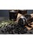 Az Tuzlu Sofralık Siyah Zeytin Gemlik Cam Pet 351-380 1,8 kg 2