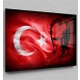 Seçili Renk Renkli