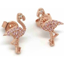 Erer Gümüş Gümüş Flamingo Model Taşlı Küpe AKO4E