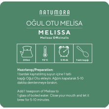 Natumora Oğul Otu Melisa 20 gr