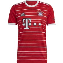 adidas Fc Bayern Munchen 2022/2023 Ic Saha Formasi Fc Bayern München 2022/2023 Iç Saha Futbol Forması H39900 Kırmızı