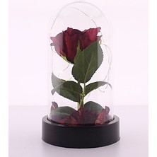 Home Dekor Hediye Hediye Anneler Gününe Özel LED Işıklı Fanus Içinde Kırmızı Yapay Gül