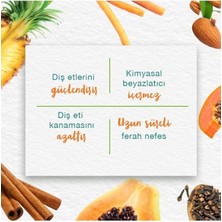 Himalaya Leke Karşıtı Bitkisel Diş Macunu, Florürsüz, Parabensiz, Vejeteryan, Leke Çıkartıcı, 75 ml