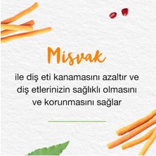 Himalaya Leke Karşıtı Bitkisel Diş Macunu, Florürsüz, Parabensiz, Vejeteryan, Leke Çıkartıcı, 75 ml