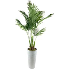 Nettenevime Yapay Ağaç Areka Ağacı Beyaz Uzun Kumsal Vazoda Palmiye Ağacı Yapay Areka 190CM