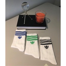 Ays Socks Boutique 3'lü Tenis Boy Üç Çizgili Renkli Çorap