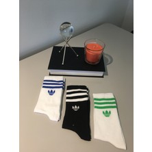 Ays Socks Boutique 3'lü Tenis Boy Üç Çizgili Renkli Çorap