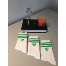 Ays Socks Boutique 3'lü Tenis Boy Üç Çizgili Çorap
