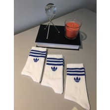 Ays Socks Boutique 3'lü Çizgili Unisex Çorap