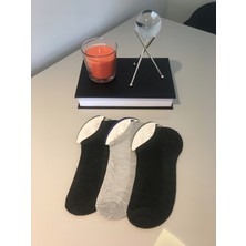 Ays Socks Boutique 3'lü Erkek Patik Çorap