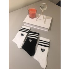 Ays Socks Boutique 3'lü Tenis Boy Üç Çizgili Çorap