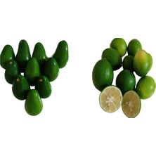 Yıldız Avokado Avokado 10 Adet  + Limon 1 kg