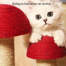 Kedi Tırmanma Çerçevesi Kedi Tırmalama Sütunu Çok Katmanlı Kedi Çerçevesi