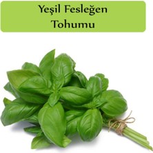 Çermik Fidancılık Yeşil Reyhan ( Fesleğen ) Tohumu 10 gr