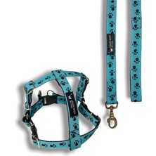 Leash Shop -Turkuaz-Siyah- Köpek Göğüs Bel Tasma Takımı Xxl Beden (75-85 cm)