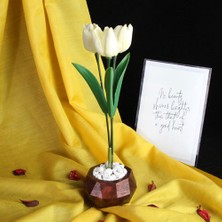 Moryconcept Lale 3'lü Çiçek Taş Rose Gölgeli Saksı