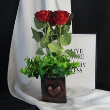 Moryconcept Lale 3'lü Çiçek Taş Rose Gölgeli Saksı