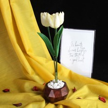 Moryconcept Lale 3'lü Çiçek Taş Rose Gölgeli Saksı