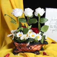 Moryconcept Çiçek Taş Rose Gölgeli Saksı Tüm Güzel Anlamları Barındıran 5 Adet Beyaz Kırmızı ve 25 Başlıklı Papatyalar