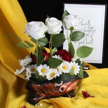 Moryconcept Çiçek Taş Rose Gölgeli Saksı Tüm Güzel Anlamları Barındıran 5 Adet Beyaz Kırmızı ve 25 Başlıklı Papatyalar