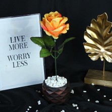 Moryconcept Çiçek Taş Rose Gölgeli Saksı Sarı Ateş Renkli Yapay Gül