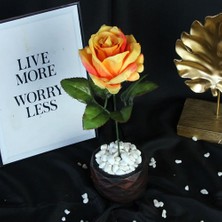 Moryconcept Çiçek Taş Rose Gölgeli Saksı Sarı Ateş Renkli Yapay Gül