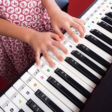 Piyano Org Klavye Piano Tuşları Için Nota Sticker Etiketi 37-49-54-61-88