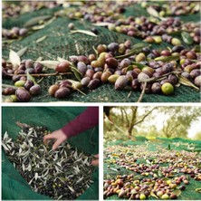 Sera Trend 6x2 Metre Zeytin Sergisi Zeytin Toplama Filesi Fındık Fıstık Örtüsü %75 Gölgelik Dut Meyve Sergisi Taban Örtüsü