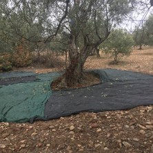 Sera Trend 5x6 Metre Zeytin Sergisi Zeytin Toplama Filesi Fındık Fıstık Örtüsü %75 Gölgelik Dut Meyve Sergisi Taban Örtüsü