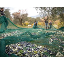 Sera Trend 4x5 Metre Zeytin Sergisi Zeytin Toplama Filesi Fındık Fıstık Örtüsü %75 Gölgelik Dut Meyve Sergisi Taban Örtüsü